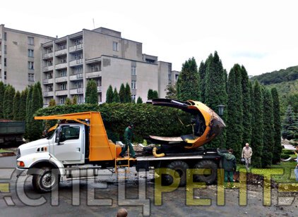 FORD для
                        пересадки